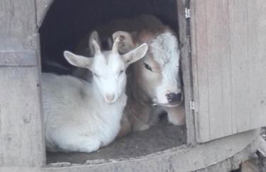 Agriturismo Barcola - Foto 2