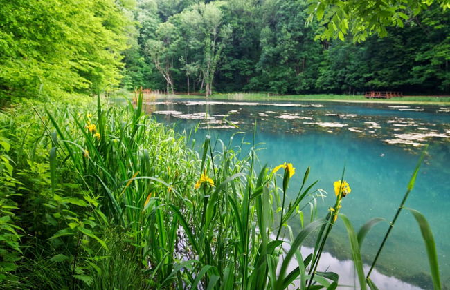 Rural Homestead Trenkovo - Foto 24