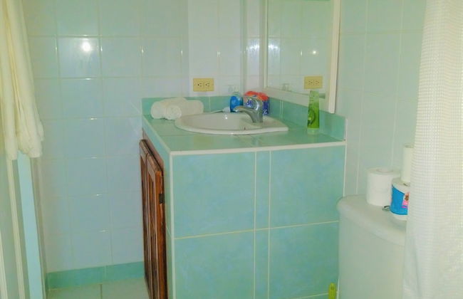 Tobago Hibiscus Villas and Apartments - Foto 36