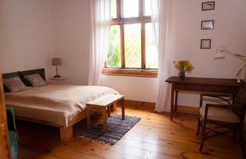 Butterfly Factory - Foto 15