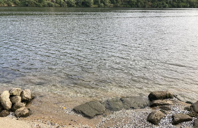 Impeccable 5 Bed House in Santa Cruz do Douro - Foto 40