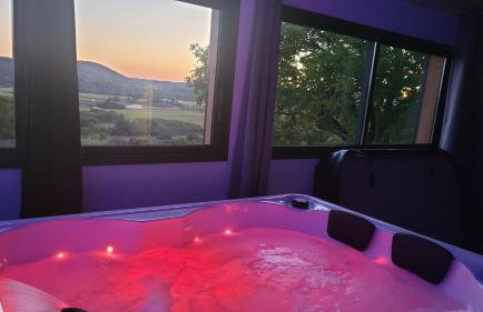 NiDAmour La Colombe Gîte romantique avec spa privatif intérieur Castels-et-Bézenac - Foto 5