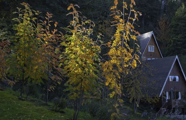 Cabañas Villa Pañil - Foto 51