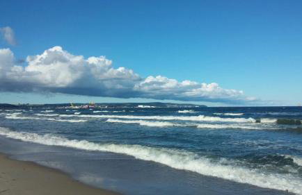 Ferienwohnung Rügen-Freiheit - Foto 28