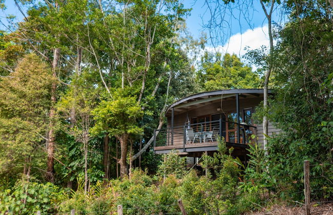 Whispering Valley Cottage Retreat - Photo 37