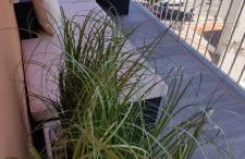 Plaja Arenal Javea Sea View Modern Apartment - Foto 38