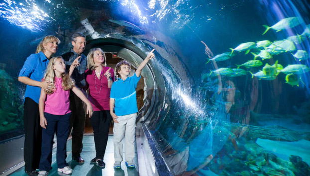 Visita in famiglia al SEA LIFE Orlando