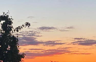 Tenuta Le Mandorlaie, Agriturismo in Scansano - Foto 32