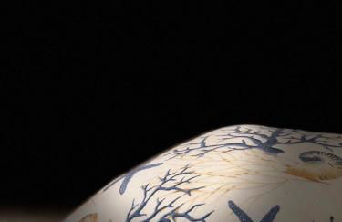 Casavacanza11 - Photo 13