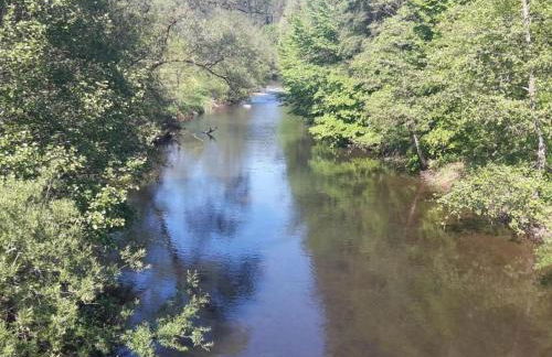 Apartment in Zendscheid mit Offenem Kamin by Interhome - Foto 36