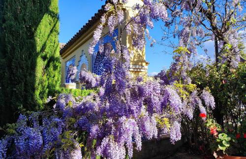 Andalusian experience - Foto 54