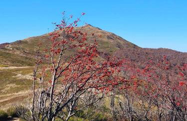 Domki Nad Jeziorem 781-281-434 - Photo 41