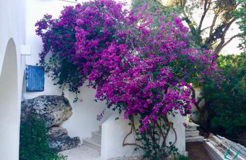 Luxury Ostuni Beachfront Villa with Pool & Private Parking - Foto 44