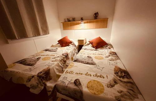 Les Charmettes Mobilhome 2 ch Climatisé - Terrasse Totalement Abritée - Locsweethome - Foto 19