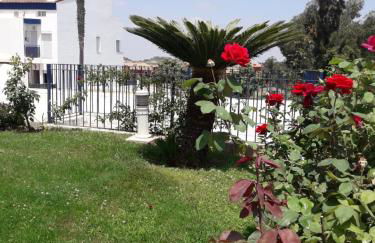 Alcaraván 32 - Photo 32