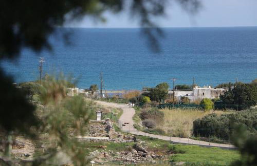 Little Blue - Photo 22