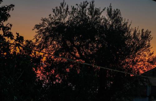 La Casetta di Titti - Foto 39