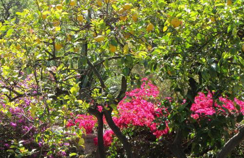 Villa Paraíso Azul - Foto 35