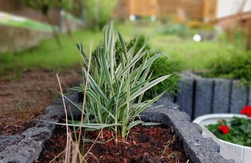 Apartament pod bukowym lasem - Foto 7