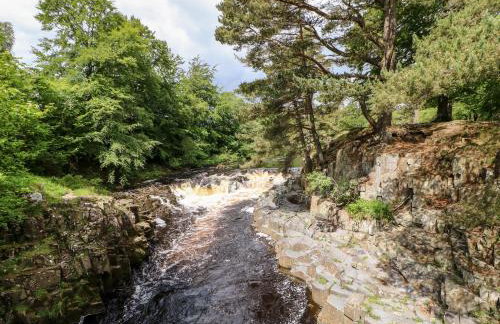 Meadows Edge - Photo 38