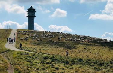 Ferienhaus am Bächle - Foto 20