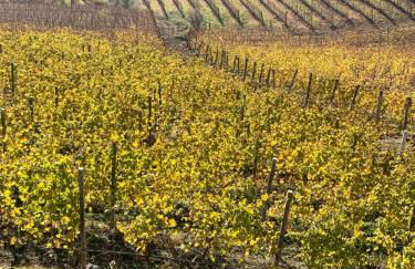 Dimore Granaio nr5 Wine & Countryside Experience, welcome box, free parking & pool - Photo 45