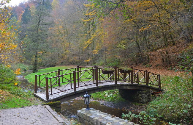 Magnificent Manor in Vresse-sur-semois With Sauna - Foto 38
