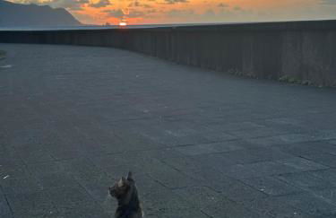 The Green Valley House - Foto 56