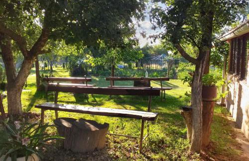 Cozy bungalow in Brinjani with garden view 30 m² - Foto 11