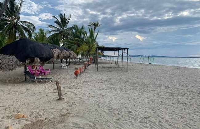 Las acacias Tolu - Foto 5