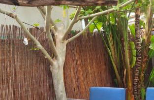 Casa del sol, Las Ocas urbanizacion,2 bedrooms , 2 bathrooms,solarium ,nice swimming pool and barbecue - Foto 38