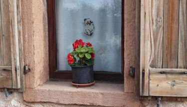 Al Viandante Casa Rosa - Foto 5