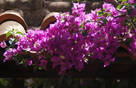 Villa Christina - Foto 24