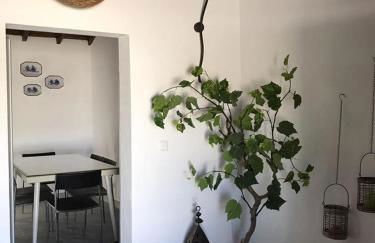 Monte de Sao Francisco - Foto 16