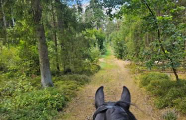 Großes neues Appartement Mein Burgwaldtraum - Foto 35