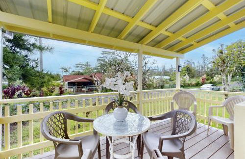 Sea Turtle Life - Photo 34