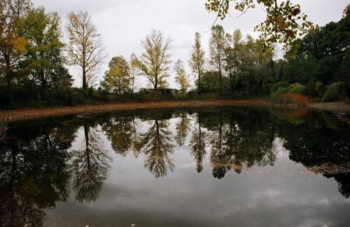 Bio Agriturismo La Cerqua - Foto 41