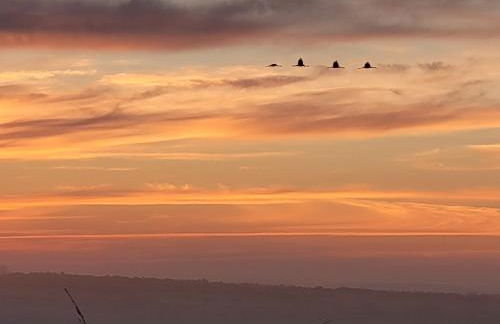 Heimathafen Hohwacht - Foto 22