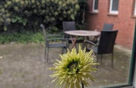 " FeWo am Hof " Große Wohnung mit zwei Schlafzimmern, seperate Küche und großem Bad - Foto 19