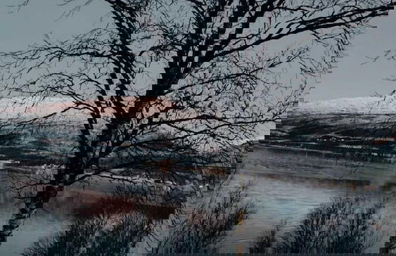 Tromsø Apartments - Foto 19