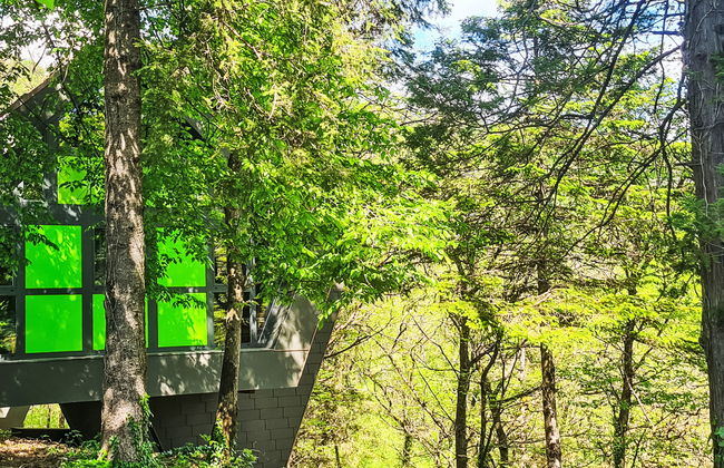 Bosco della Bella 6 - Foto 35