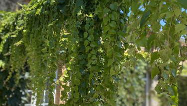 La Maison de Coutil, aux Gîtes de l'Etang des Noues - Photo 2