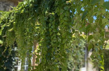 La Maison de Coutil, aux Gîtes de l'Etang des Noues - Photo 2