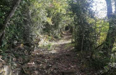 Casa Cotefablo Aloj Gorgol Gavin, Biescas - Foto 37