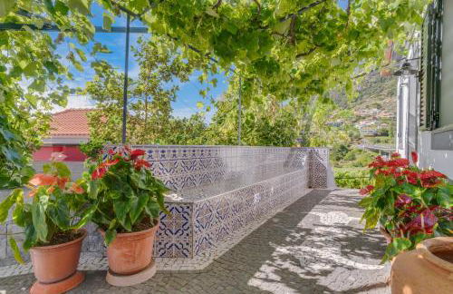 Passion Villa - Photo 26