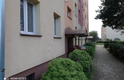 Apartament na parterze - Foto 5