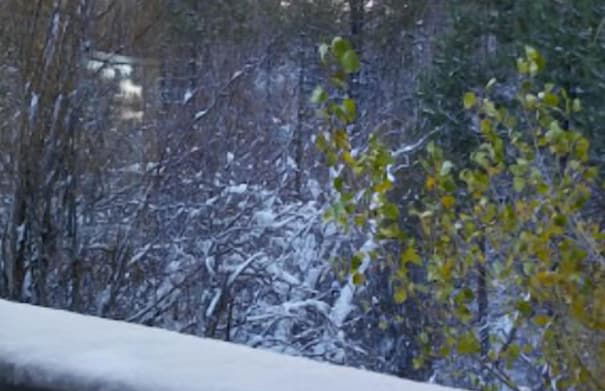 GetAways at the Lodge at Kingsbury Crossing - Foto 32