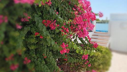 Casa Susana - Foto 3