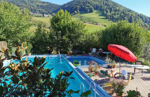 Ferienwohnung Vogelsang im Schwarzwald - Foto 16