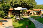 Dodis Village - Photo 7